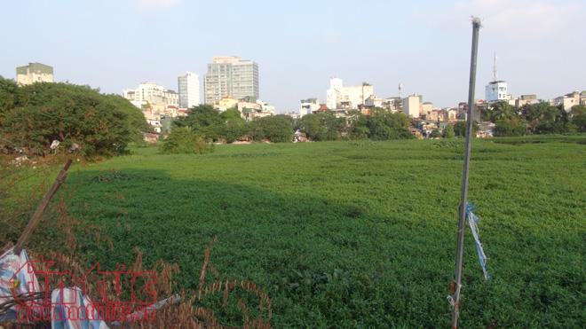 Kinh hãi 'hồ rác' Linh Quang ảnh 1
